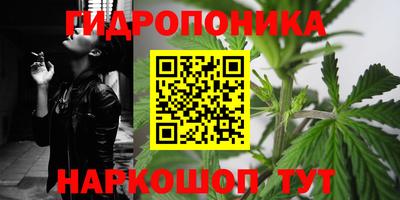 СК Чебаркуль