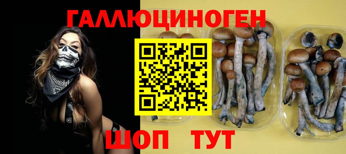 Псилоцибиновые грибы GOLDEN TEACHER Ноябрьск